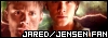 Blood Brothers - The Official Jared Padalecki & Jensen Ackles Fanlisting